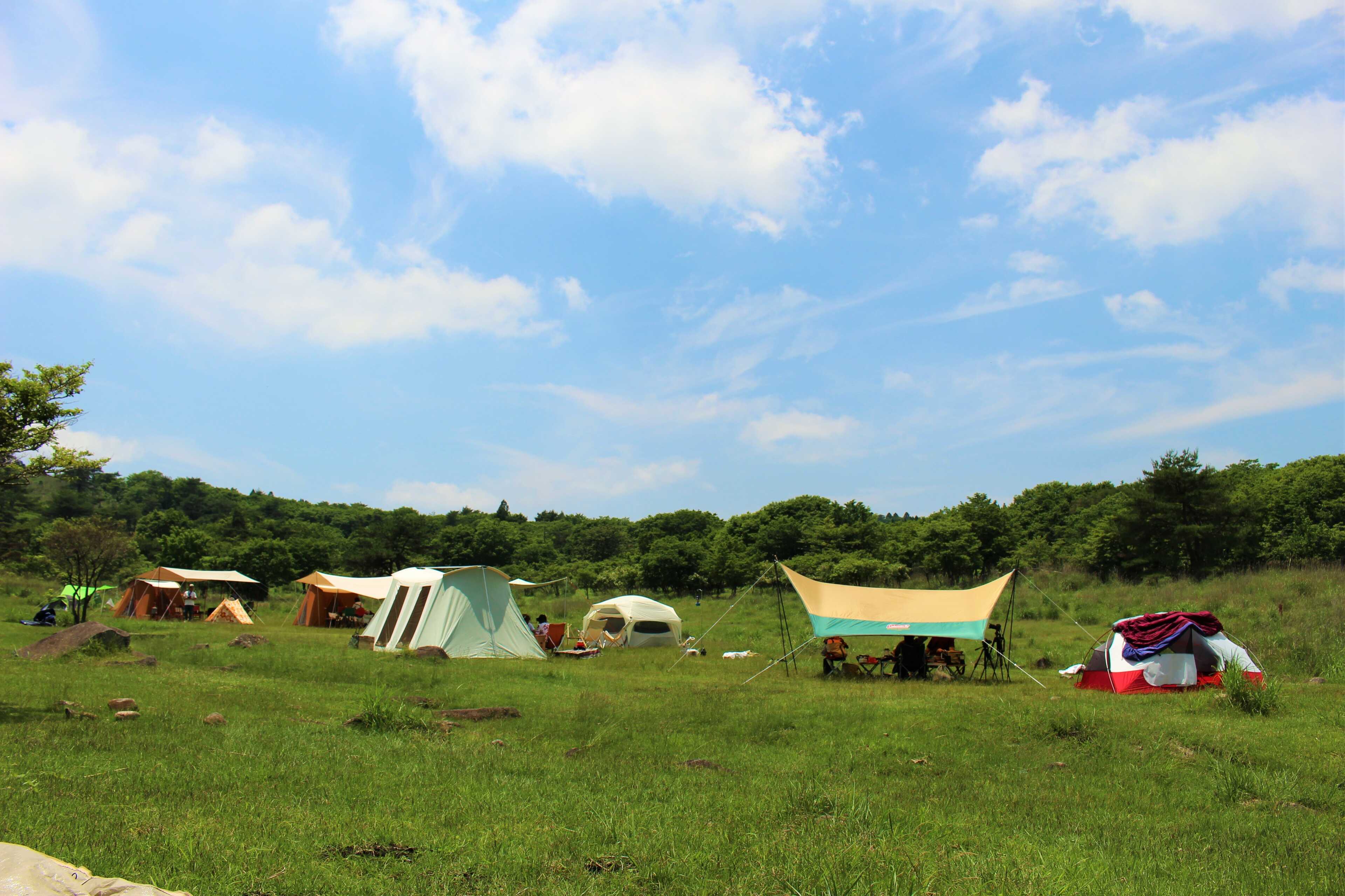 峰山高原リゾート 星降る高原キャンプ場