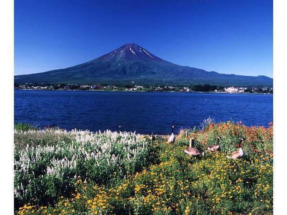 貸別荘ルピナス河口湖の写真 5枚目