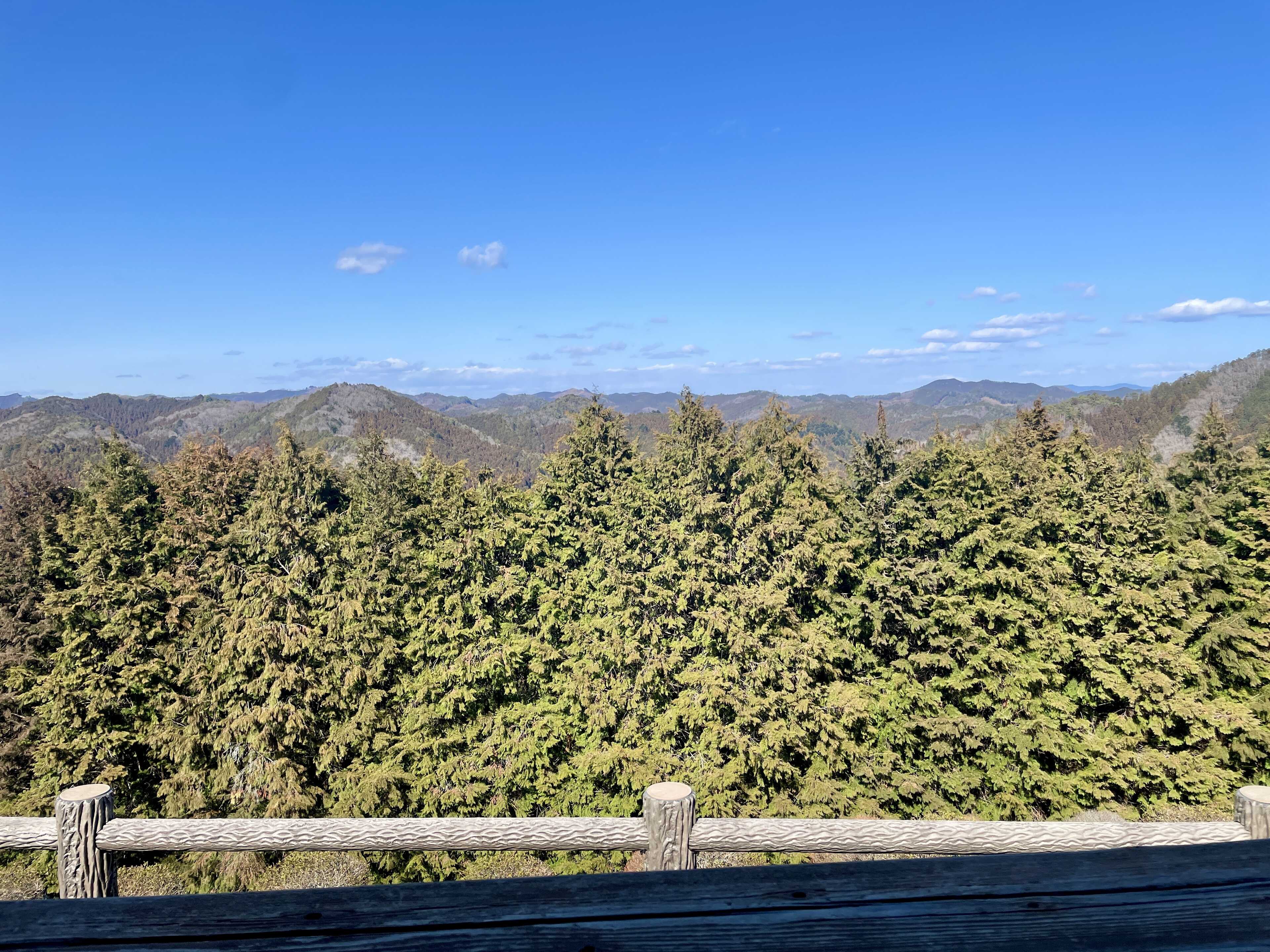MARUTA ひたち大宮の写真 2枚目
