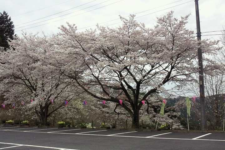 花立自然公園～ログキャビン～ photo 4