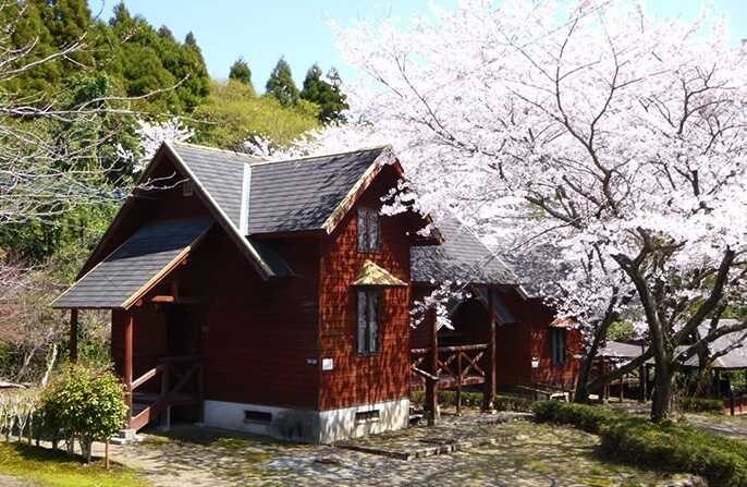 奥霧島皇子原公園キャンプ場