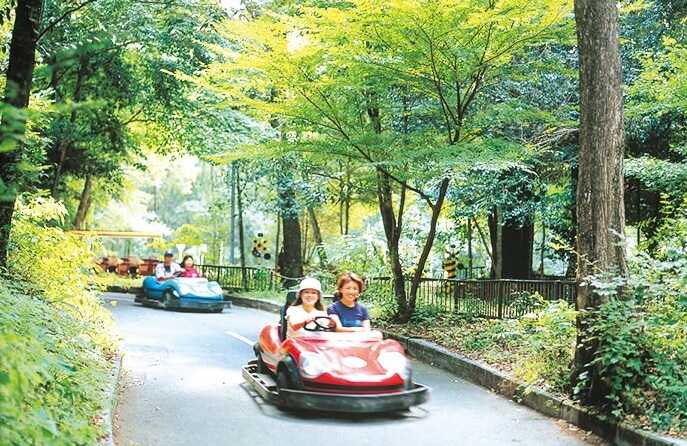 奥霧島皇子原公園キャンプ場