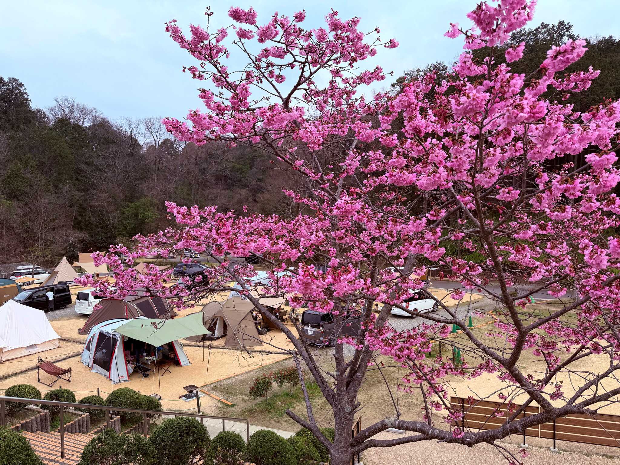 十二坊の森は、広葉樹中心の山林。春、夏は美しい新緑が。秋には鮮やかな紅葉が場内で楽しめます♪