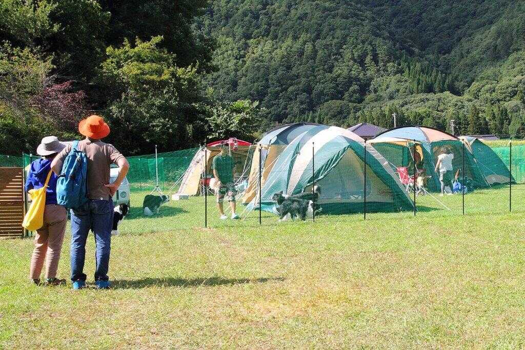 【R8/3月閉鎖】星降るWAN-WAキャンプ場