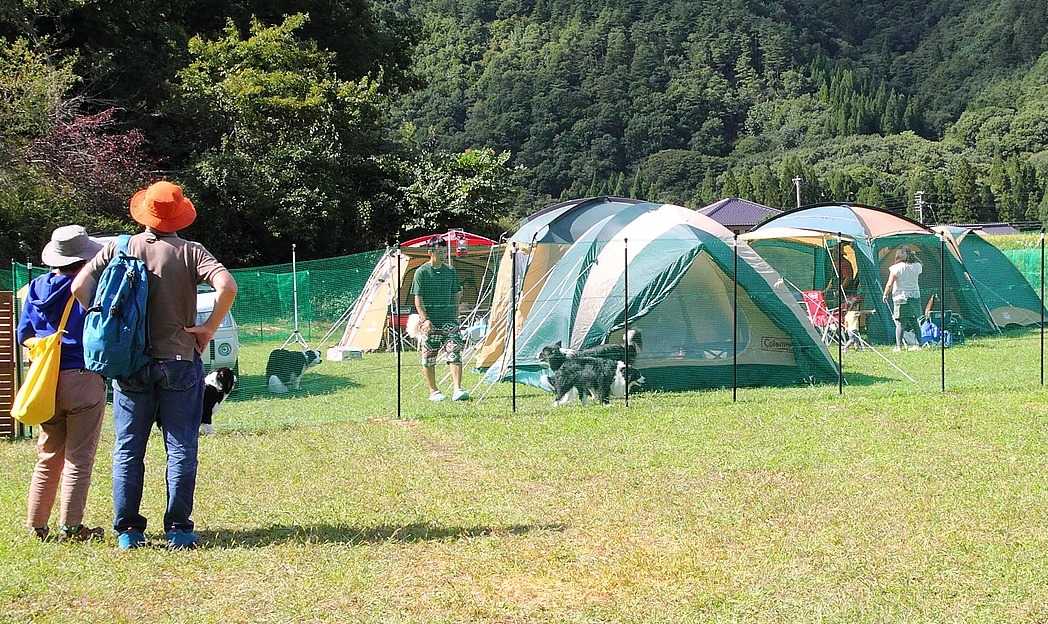 星降るWAN-WAキャンプ場 photo 3