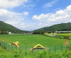 星降るWAN-WAキャンプ場 photo 4