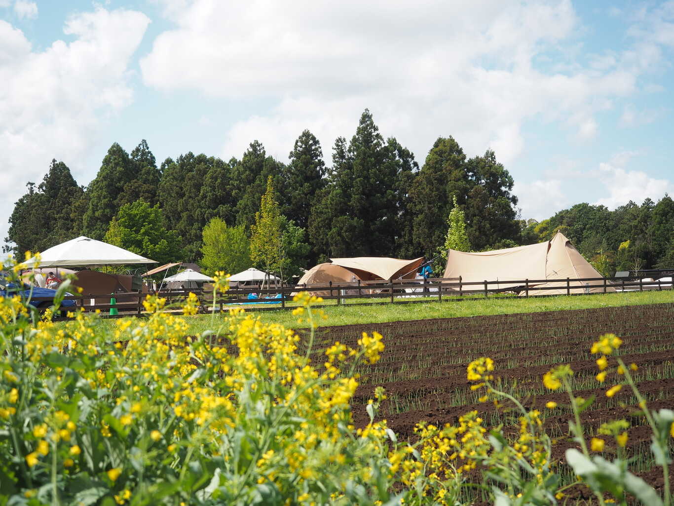 THE FARM（ザファーム）
