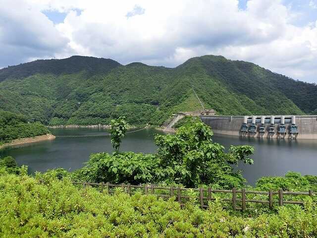 温井ダム湖畔の森の写真 1枚目