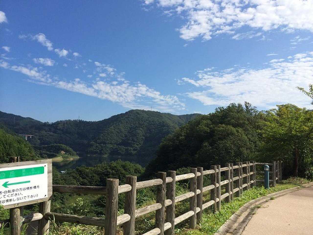 温井ダム湖畔の森の写真 2枚目
