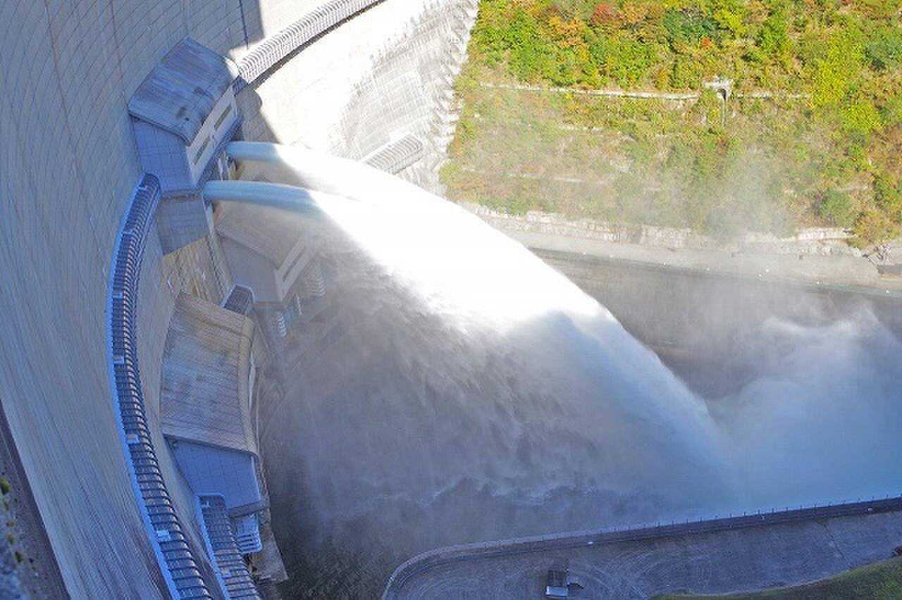 温井ダム湖畔の森の写真 3枚目