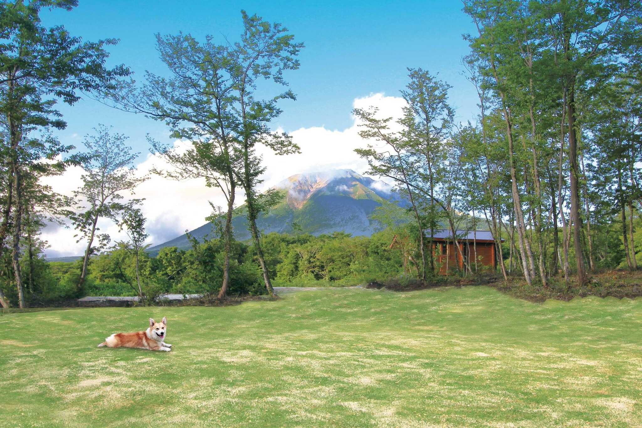 DACG 大山オートキャンプ場