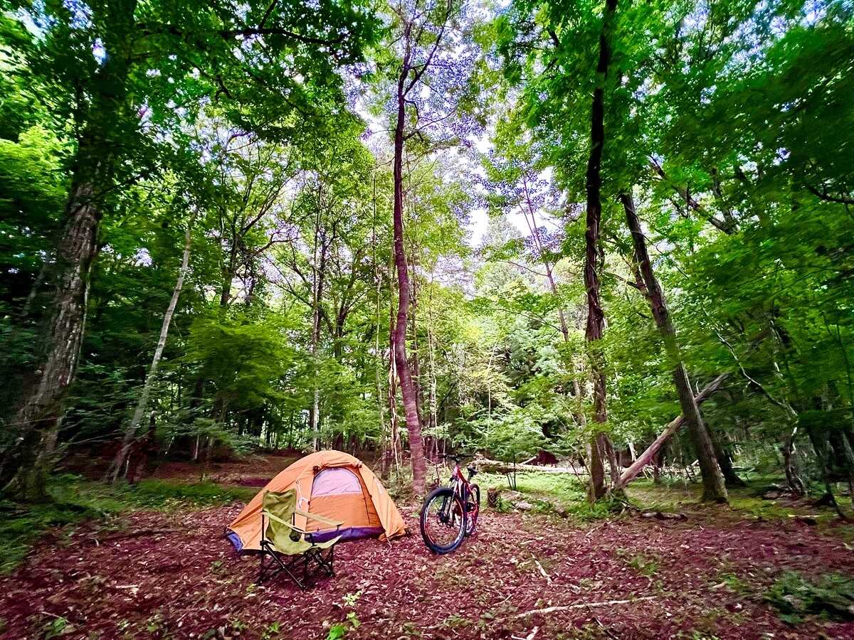 FLORA Campsite in the Natural Gardenの写真 4枚目