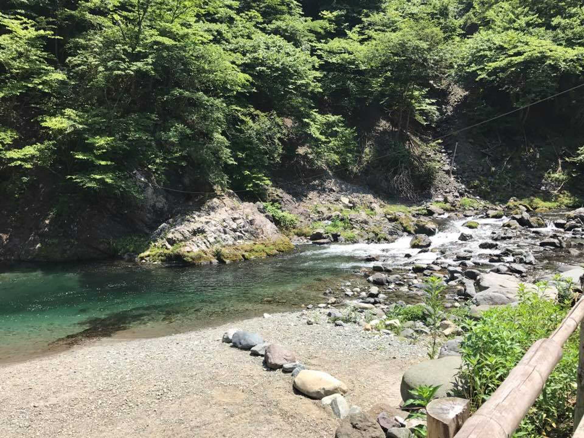 道志村 久保キャンプ場の写真 2枚目