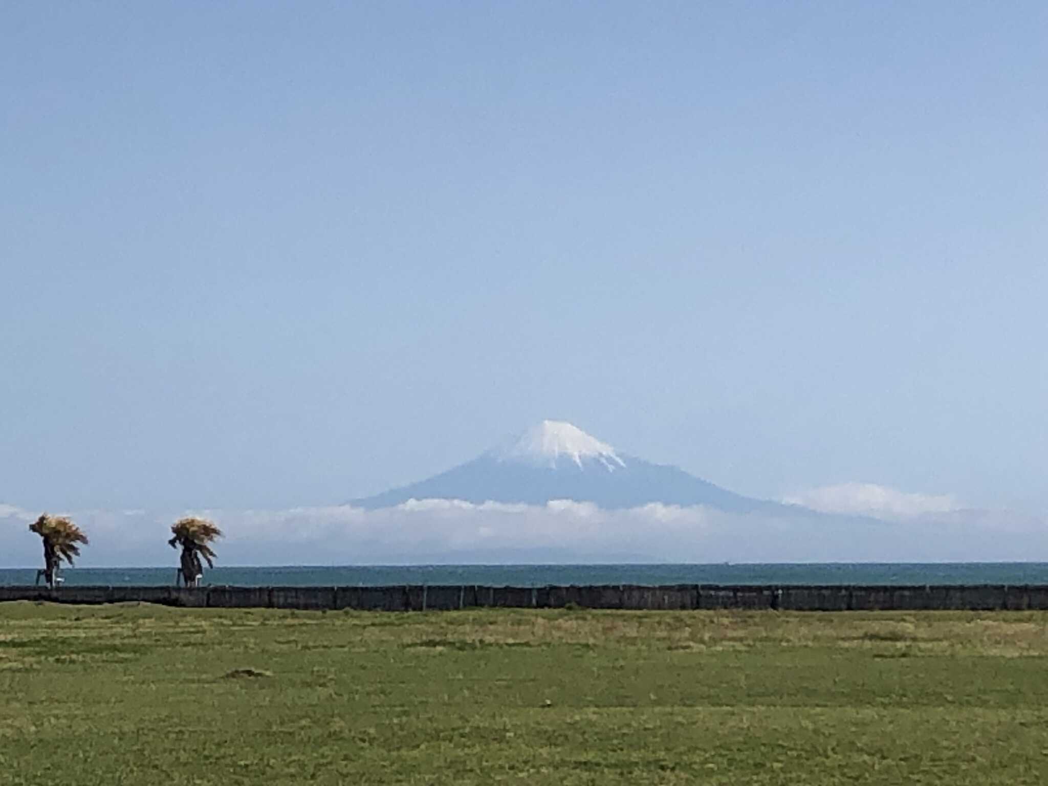 マリンパーク御前崎キャンプ場(旧:RECAMP 御前崎)の写真 4枚目