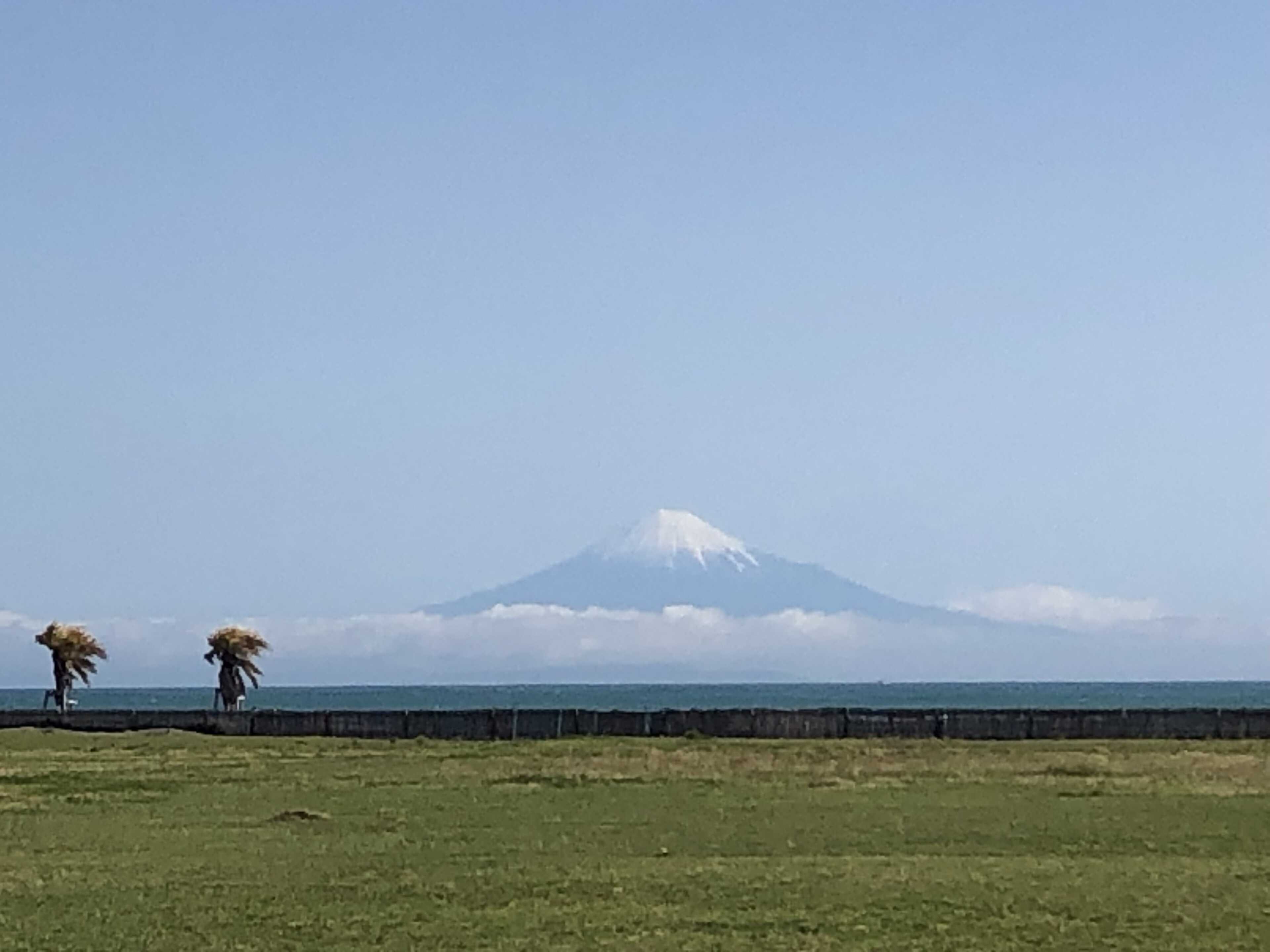 マリンパーク御前崎キャンプ場(旧:RECAMP 御前崎)