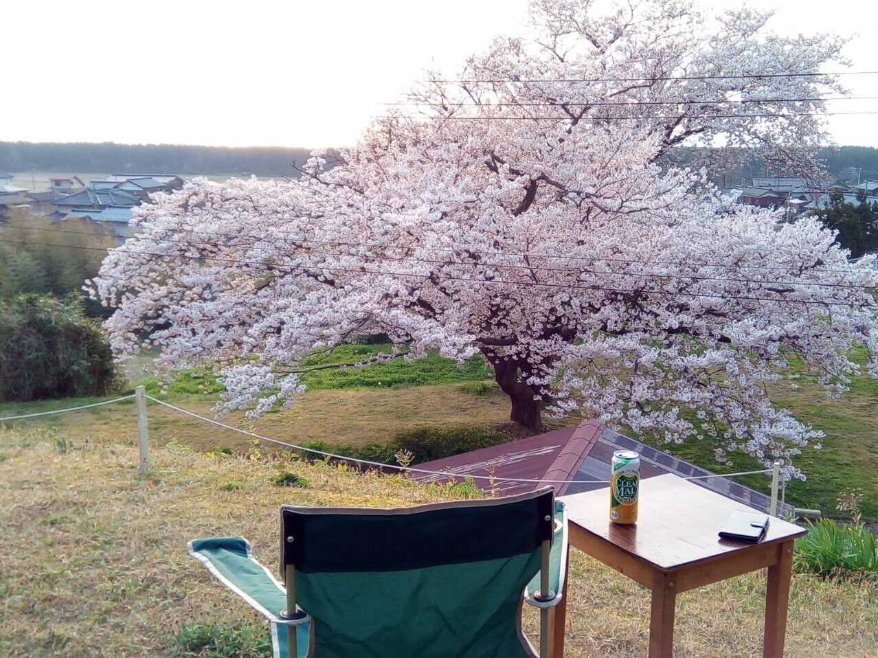 海が見えるコテージ&キャンプ