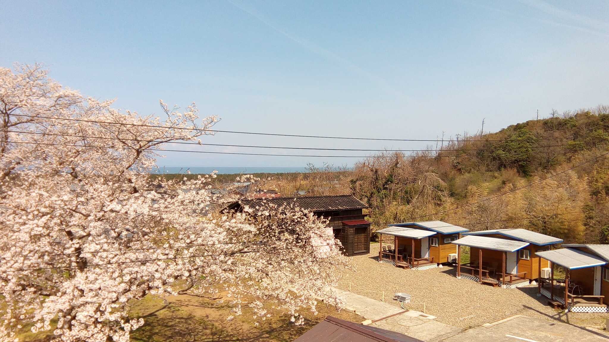 キャンプエリアから見たコテージ全景、日本海に浮かぶ佐渡ヶ島や夕日が絶景!これからキャンプ場の周りは桜が満開になります
