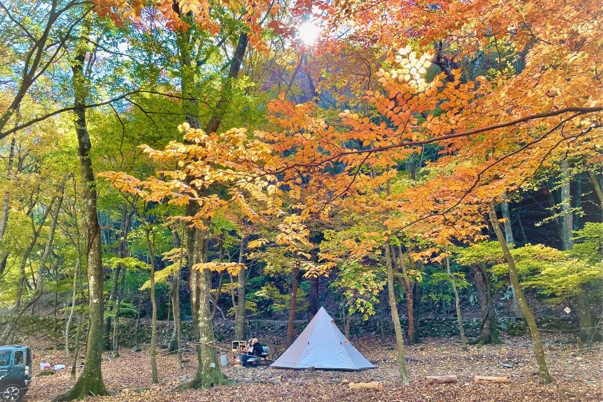 本栖湖 SUMIKA CAMP FIELDの写真 3枚目