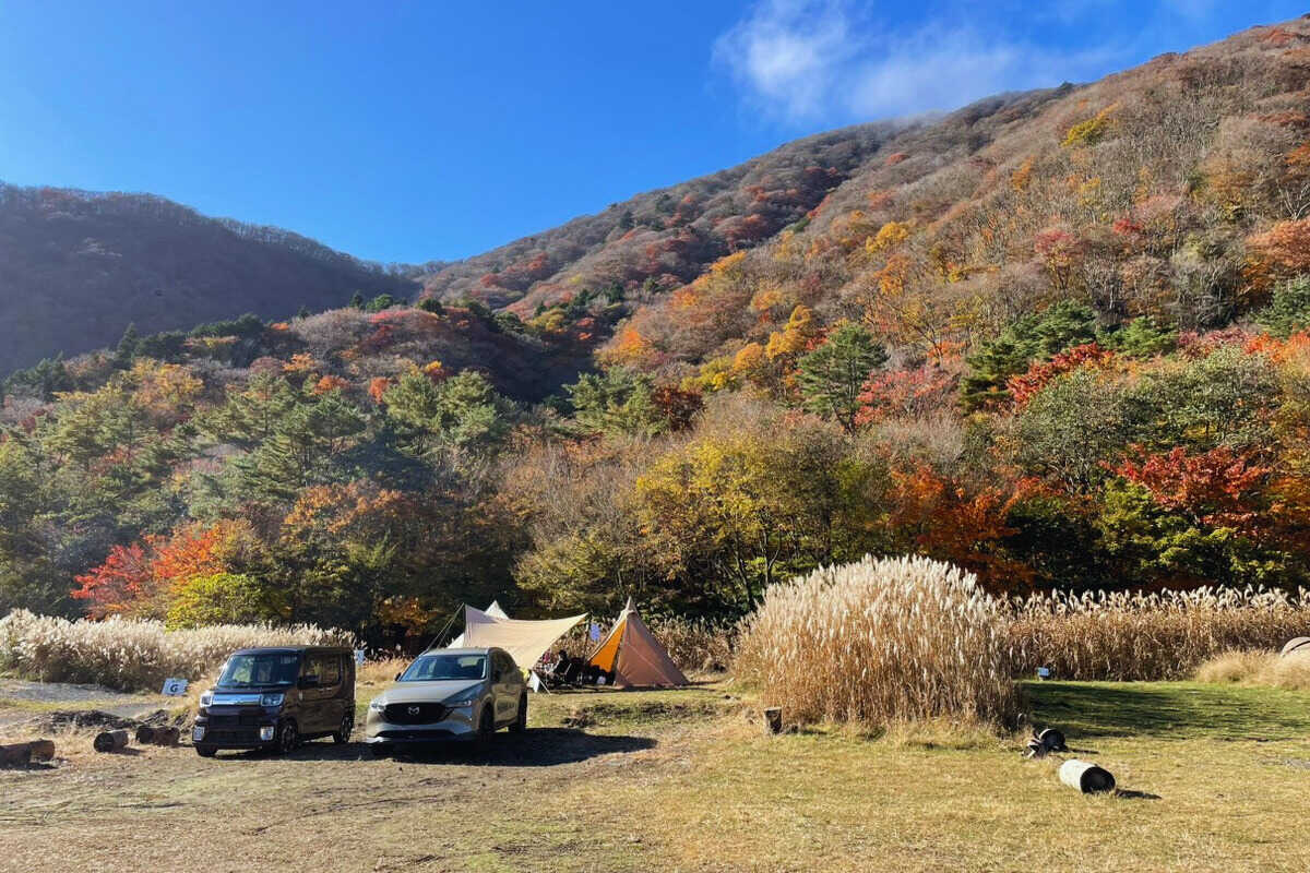 本栖湖 SUMIKA CAMP FIELDの写真 4枚目