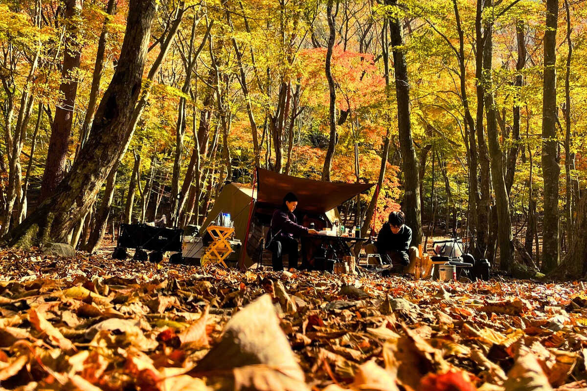 本栖湖 SUMIKA CAMP FIELD