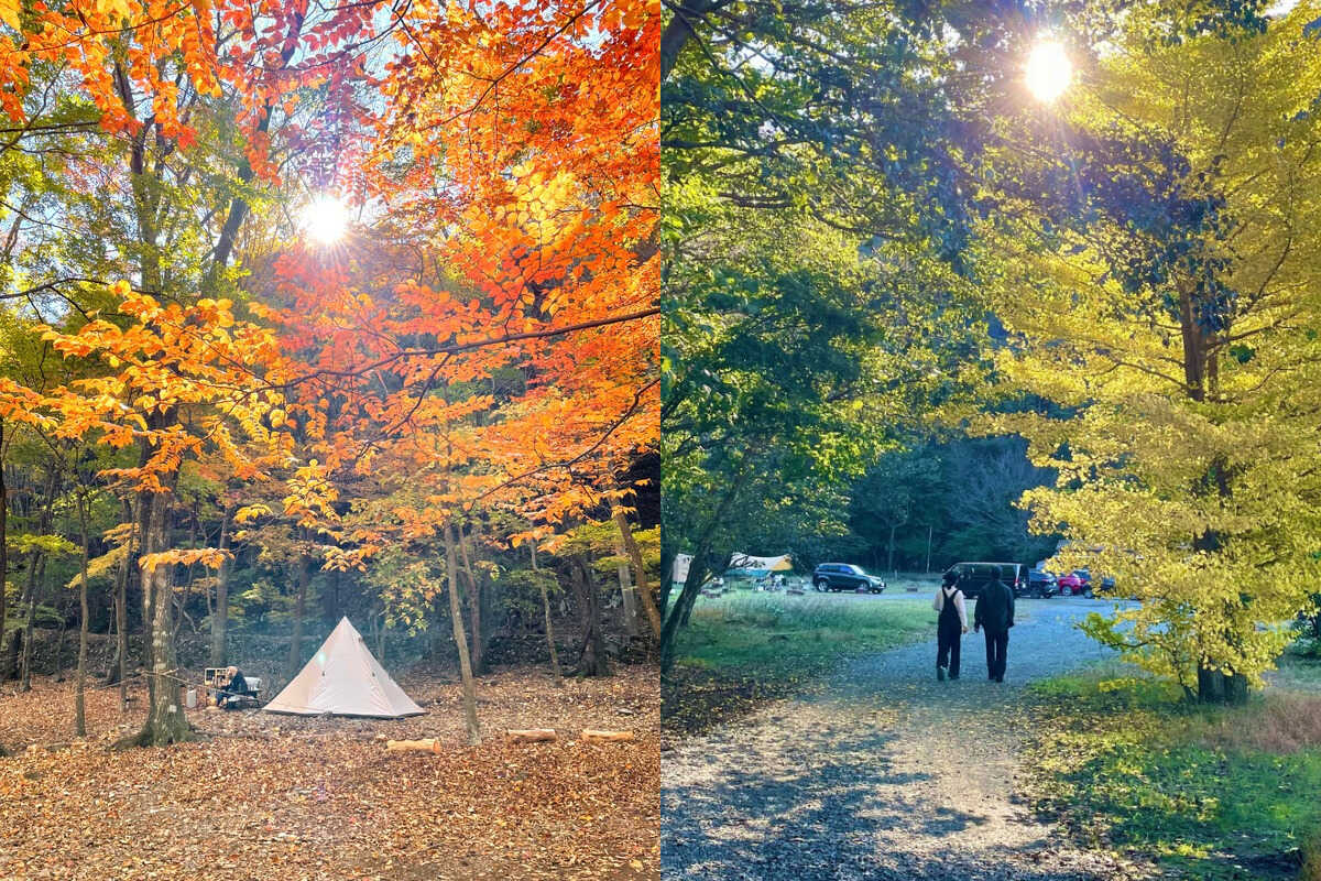 本栖湖 SUMIKA CAMP FIELD