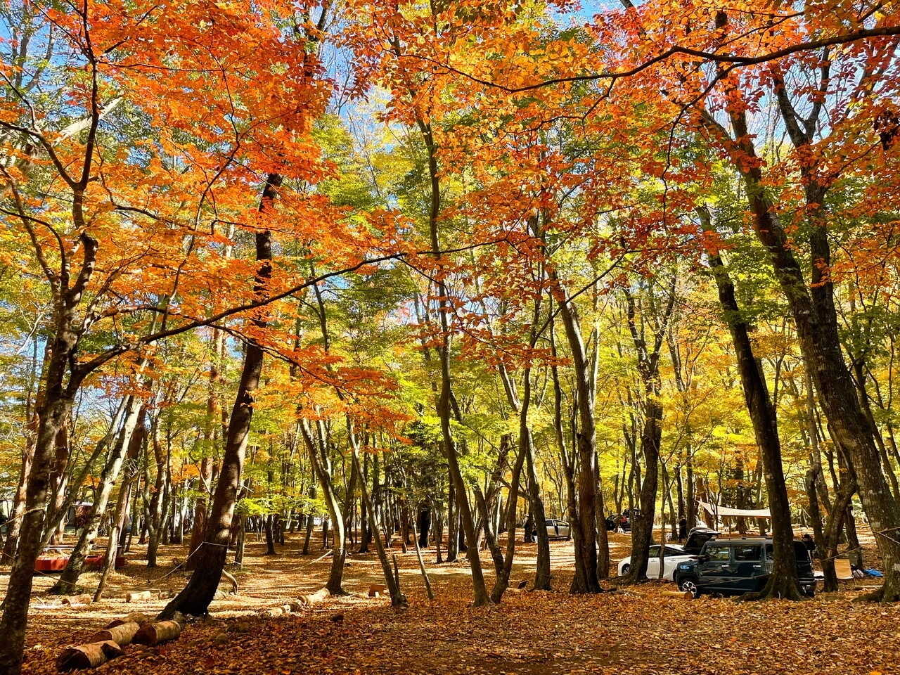 本栖湖 SUMIKA CAMP FIELD
