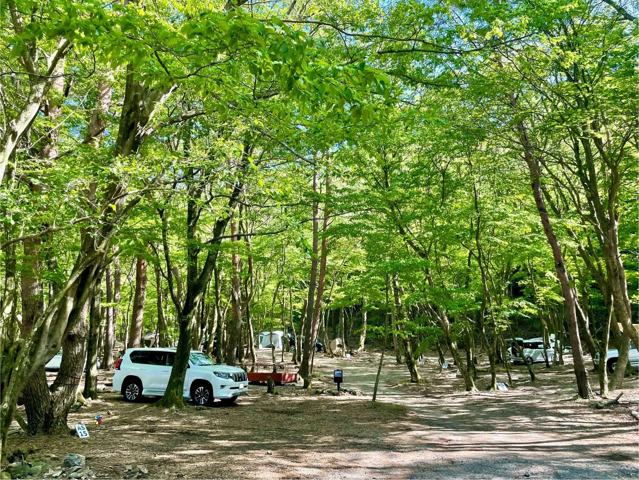 真夏でも体感20℃!森林が日差しを遮り木漏れ日が気持ちよい森林浴サイト