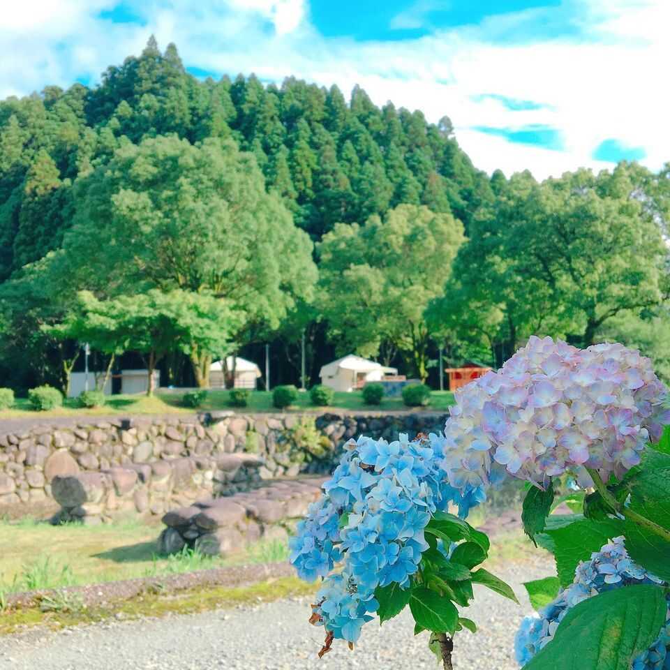 癒しの森 ゆ~かむ