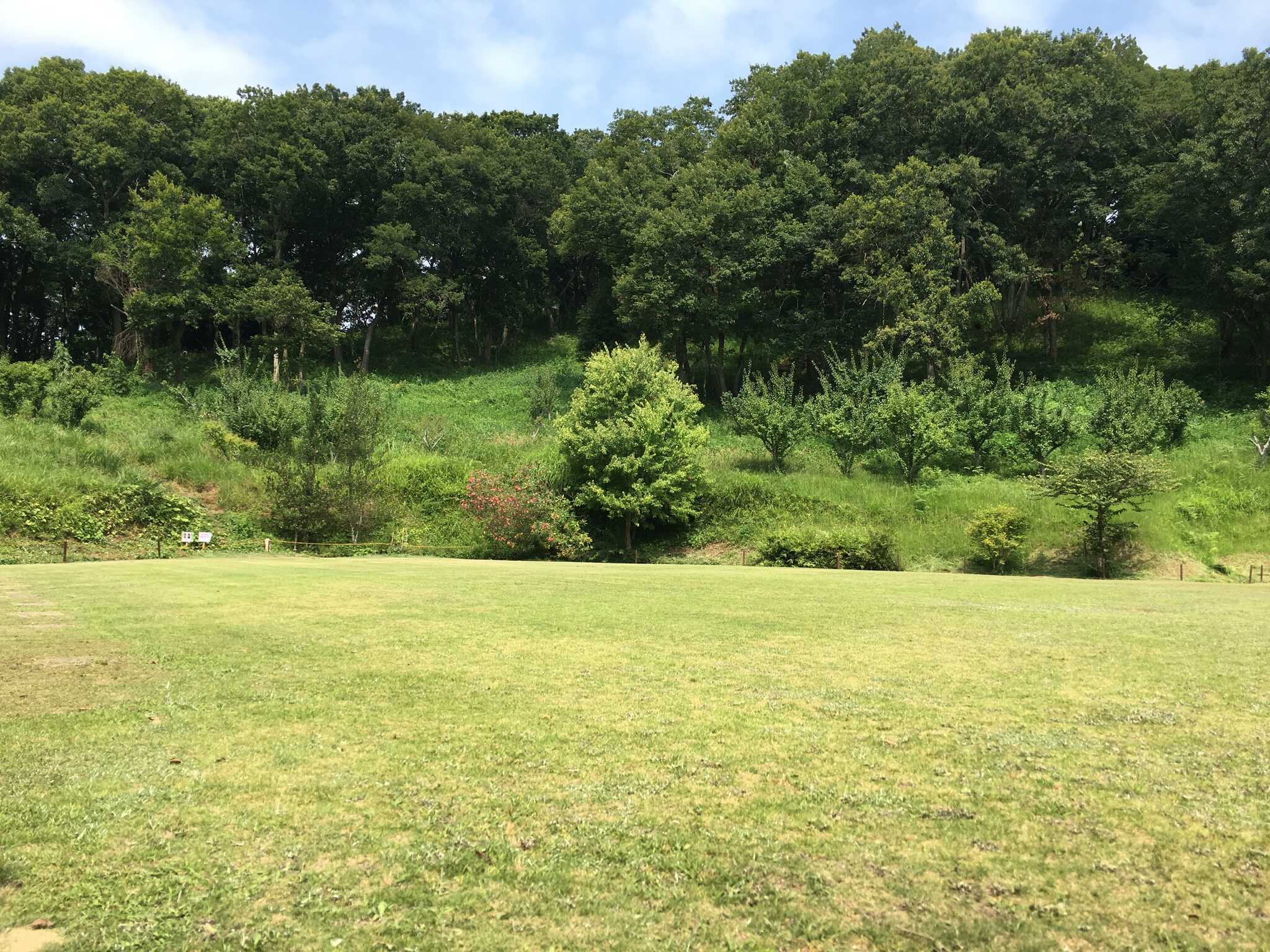 アルビンスポーツパーク キャンプ広場