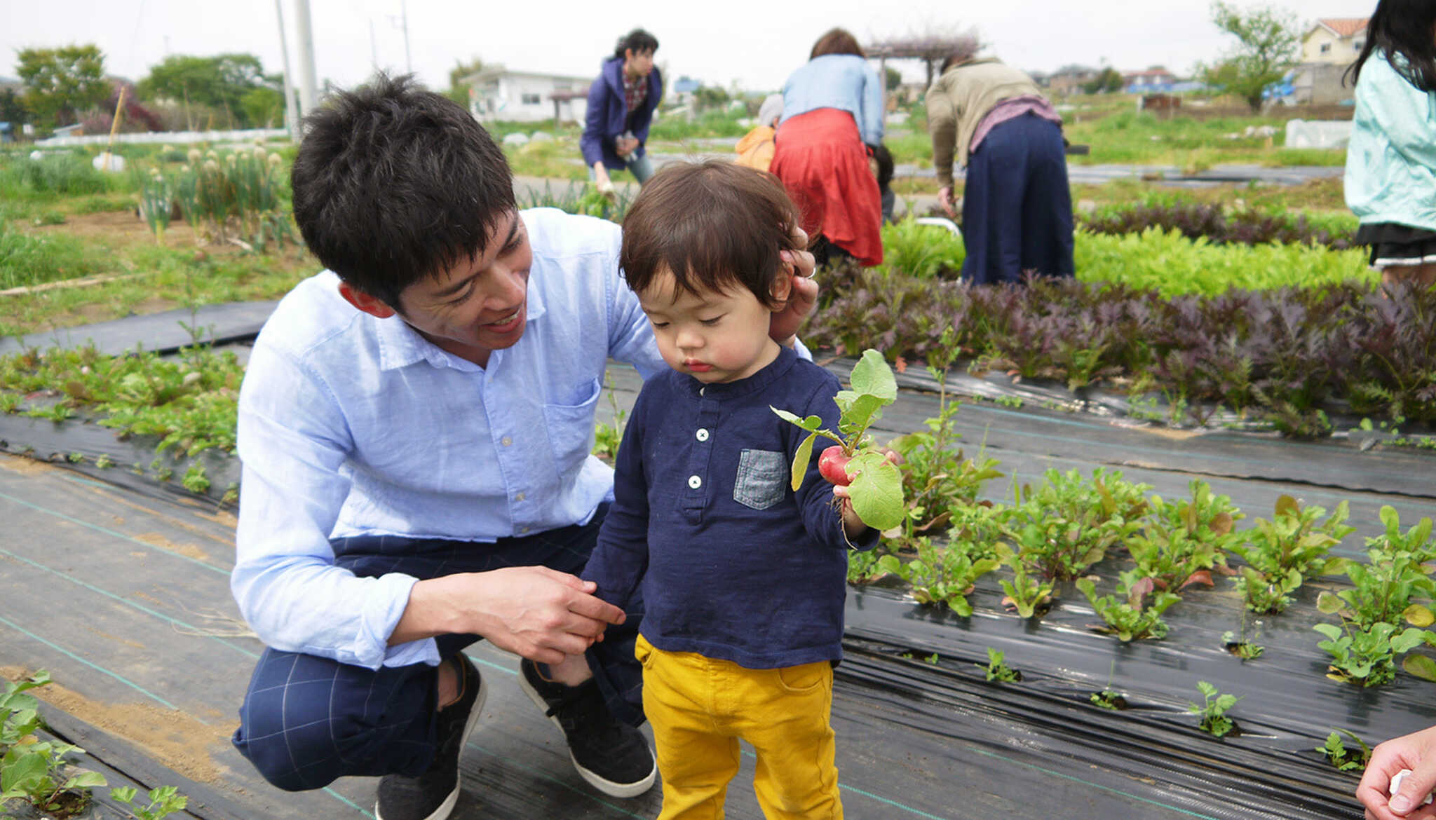 【R2/11現在 バーベキュー閉店】柏あけぼの山農業公園の写真 3枚目