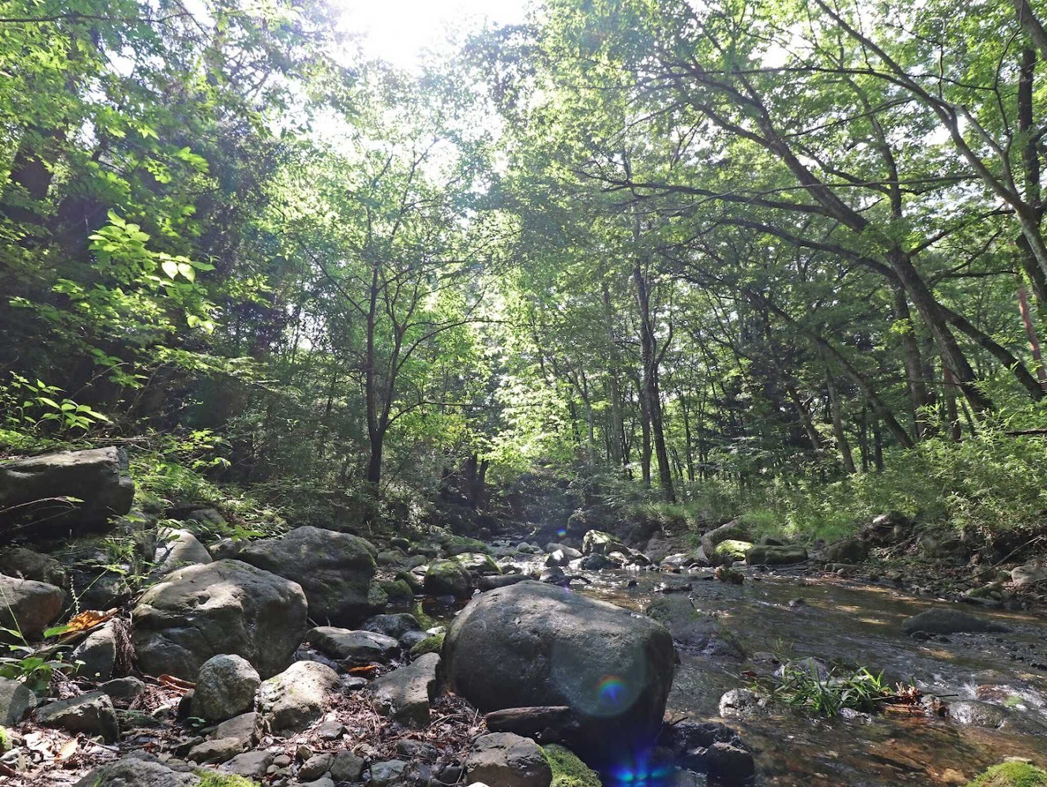 徒歩圏内に簡単な川遊びができる川も流れています!
