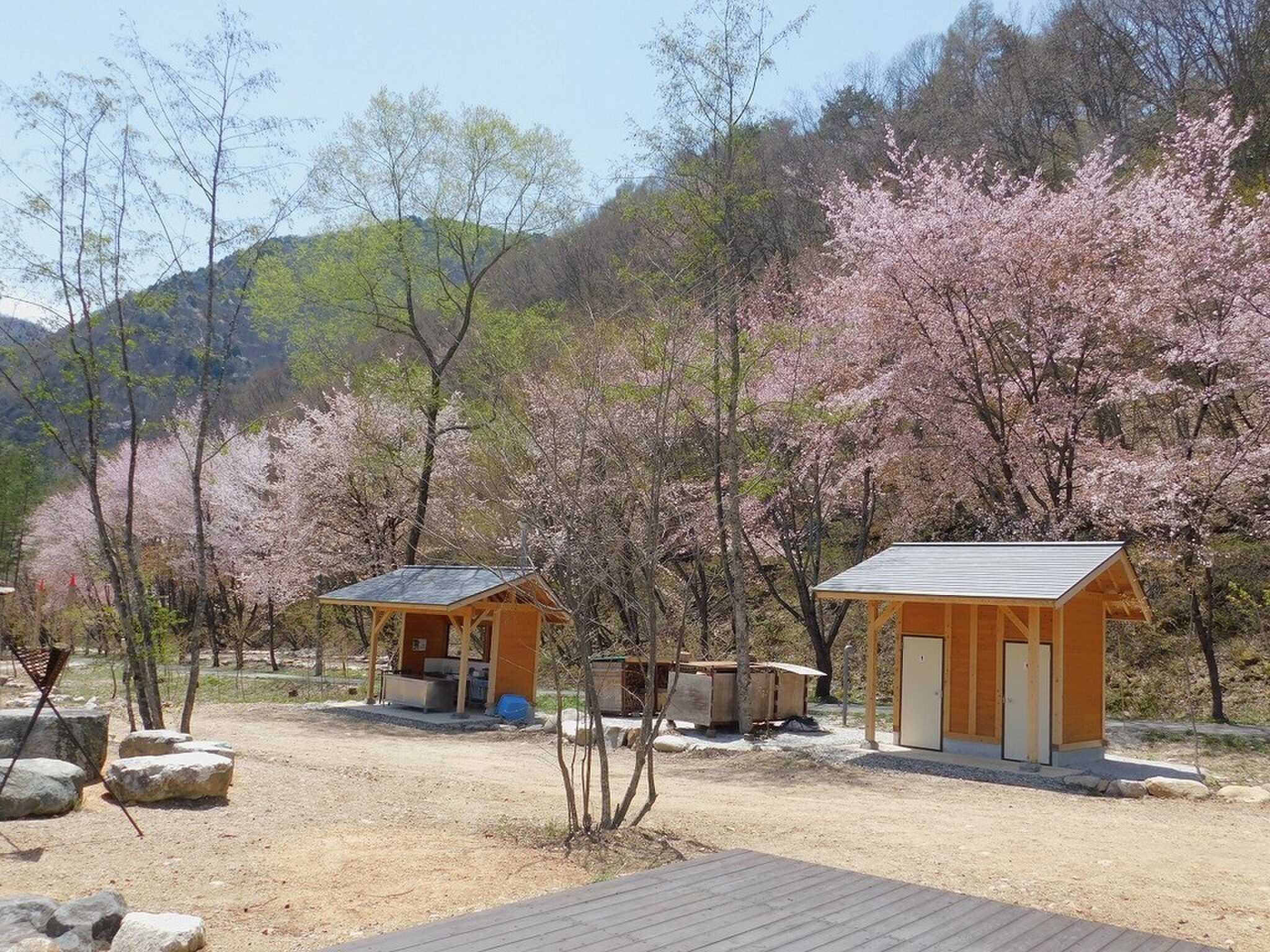 天然温泉源泉かけ流し 心笑キャンプ場の写真 4枚目
