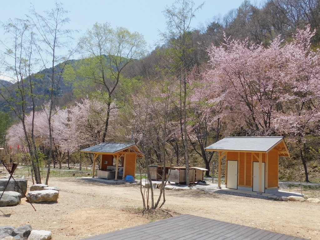 天然温泉源泉かけ流し 心笑キャンプ場 photo 3