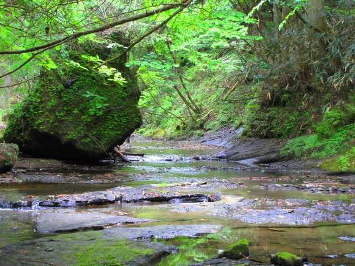 奥養老渓谷グランピングリゾート花山水-Hanasansui-