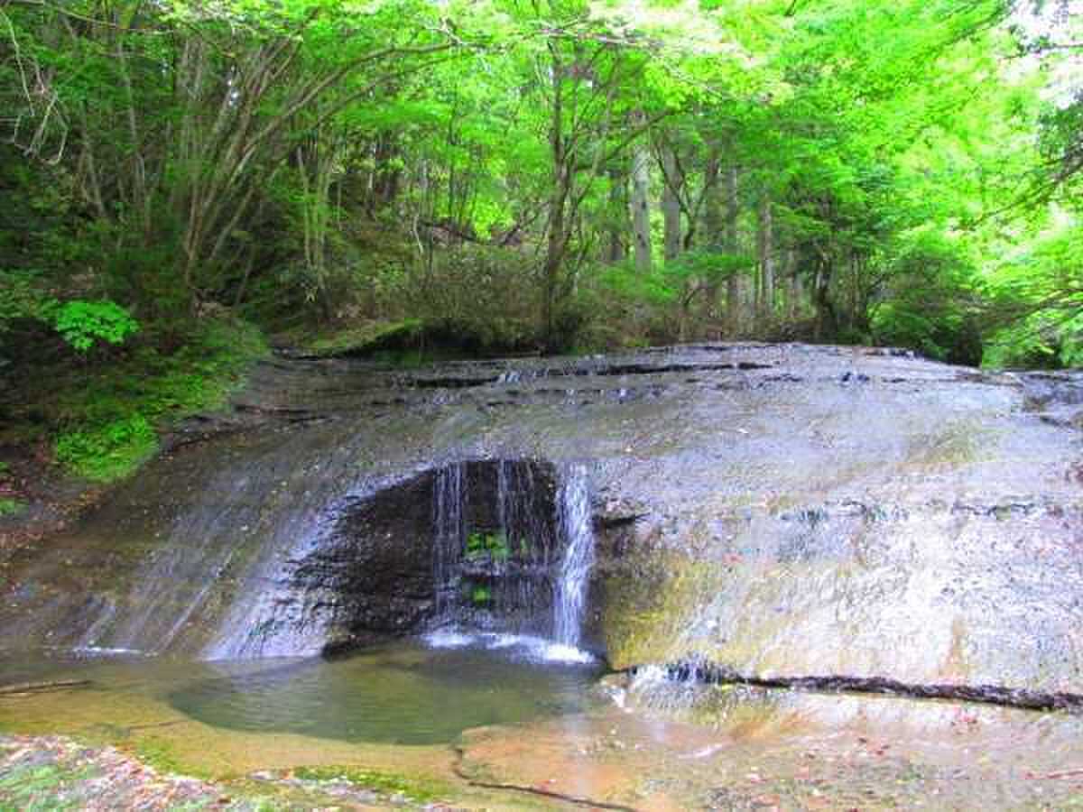 敷地内の河原にて
