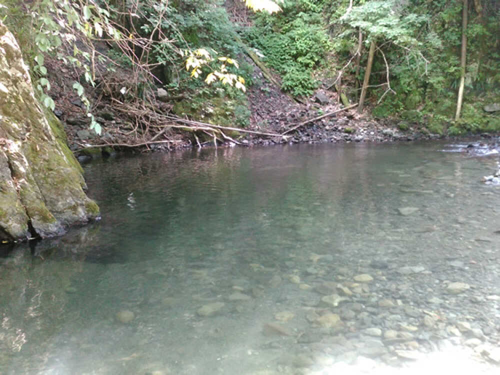北秋川自然休暇村の写真 4枚目
