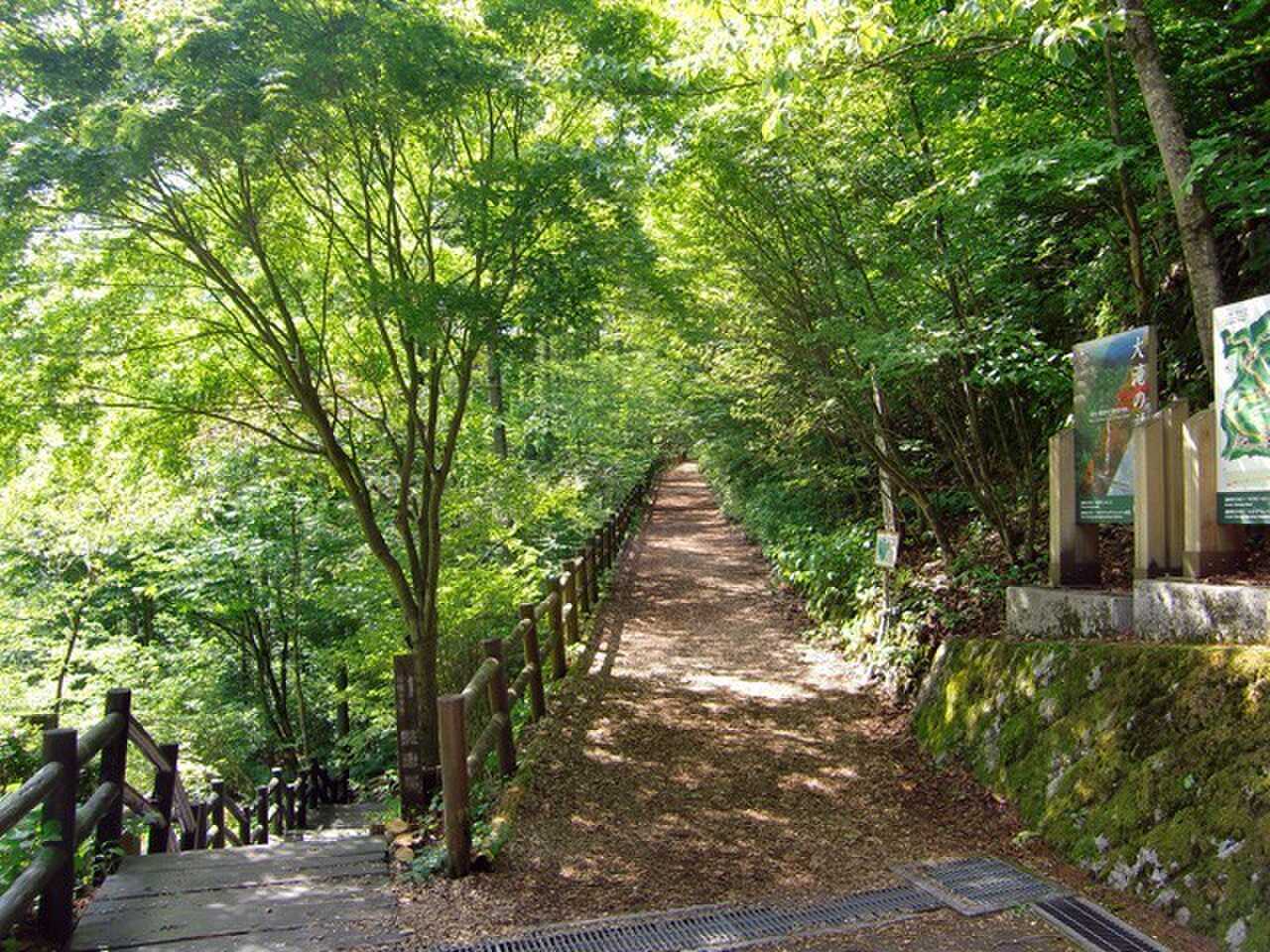北秋川自然休暇村の写真 5枚目