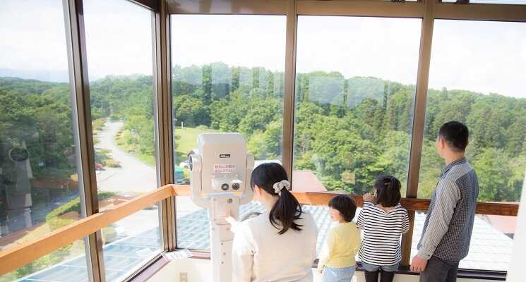 とやま 古洞の森