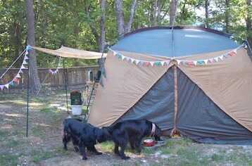 Romperdog Run&Site