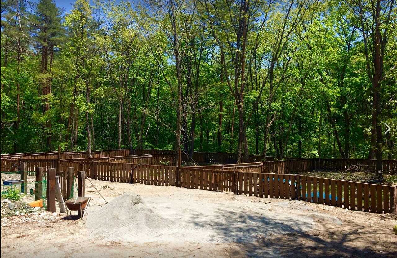 Romperdog Run&Site