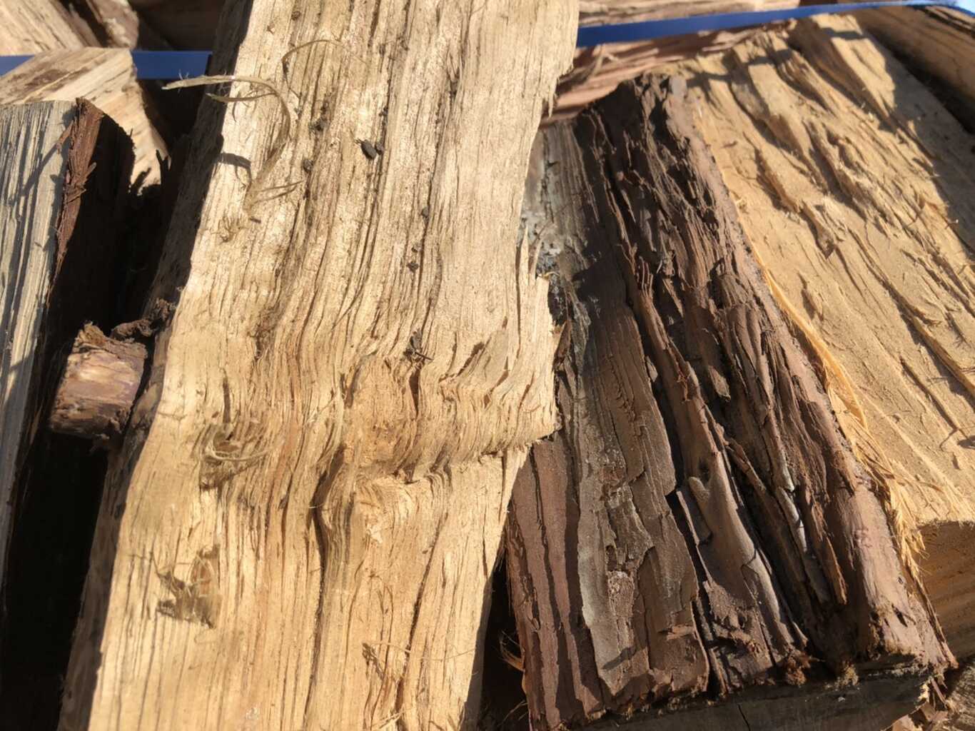 WOOD DESIGN PARK(ウッドデザインパーク) photo 3