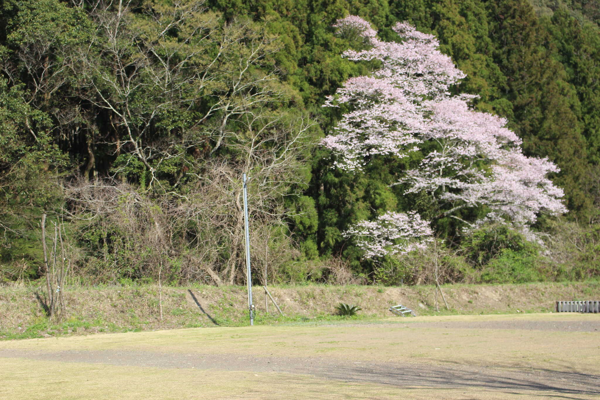 グリーンヴィレッジ川根の写真 3枚目