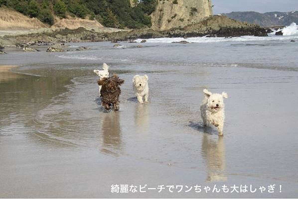 ビーチキャンプBY-THE-SEA