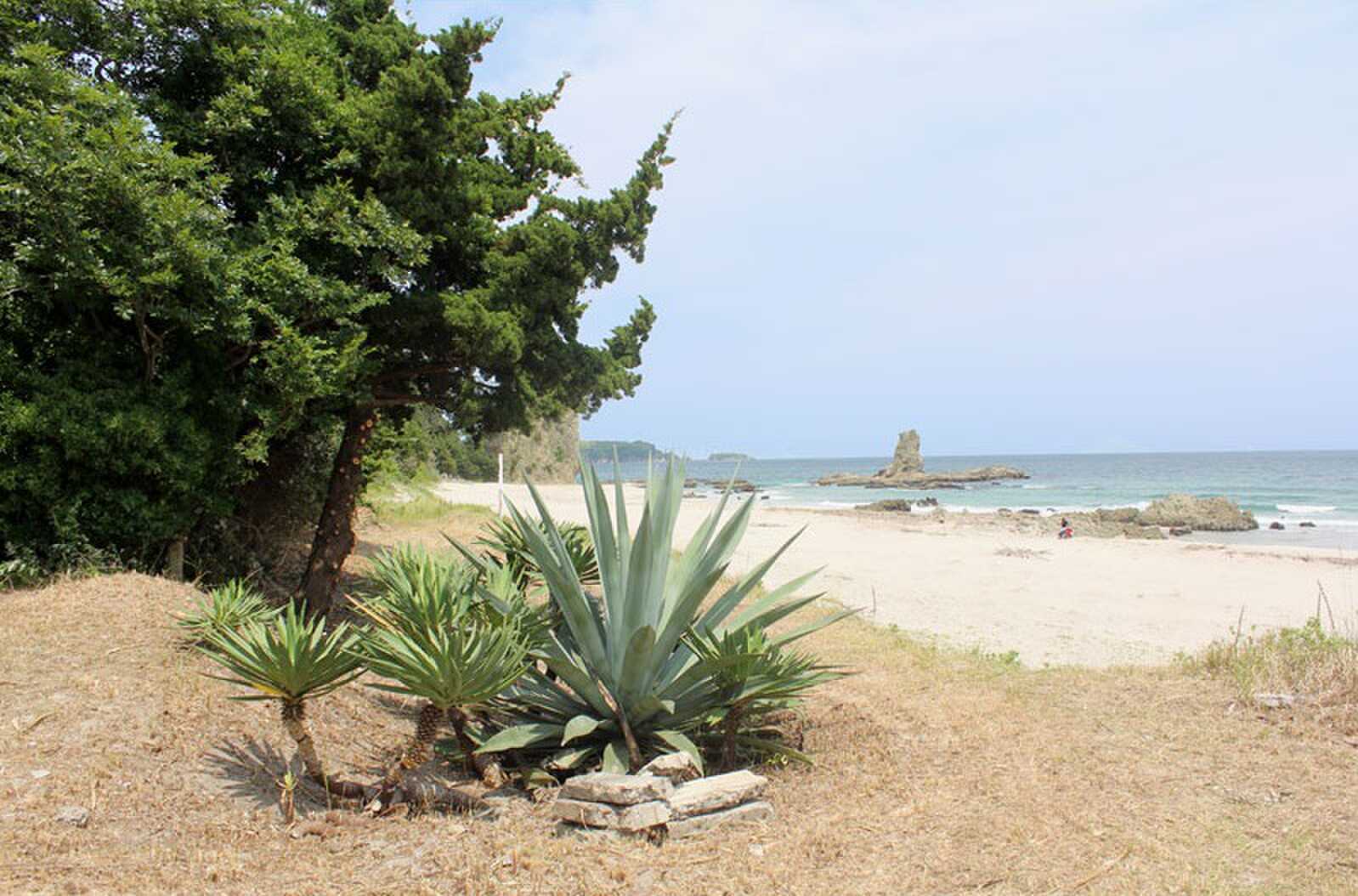 ビーチキャンプBY-THE-SEA