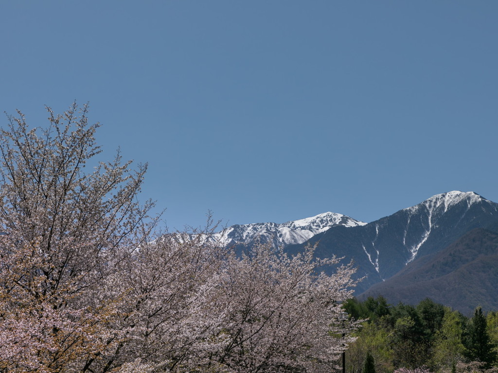 フォレストドーム木曽駒高原 photo 3