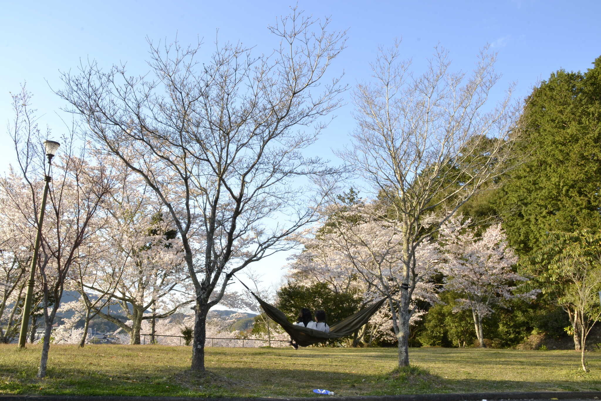 ふれあいの森 勢山荘(キャンプ/バンガロー)の写真 5枚目