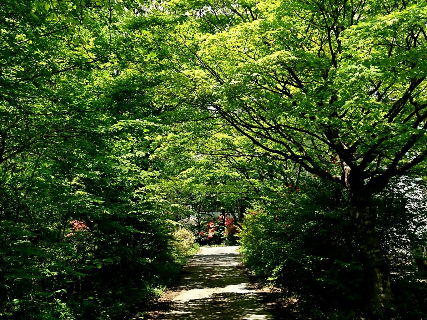 ぽんぽこの森ファミリーキャンプ場 photo 2