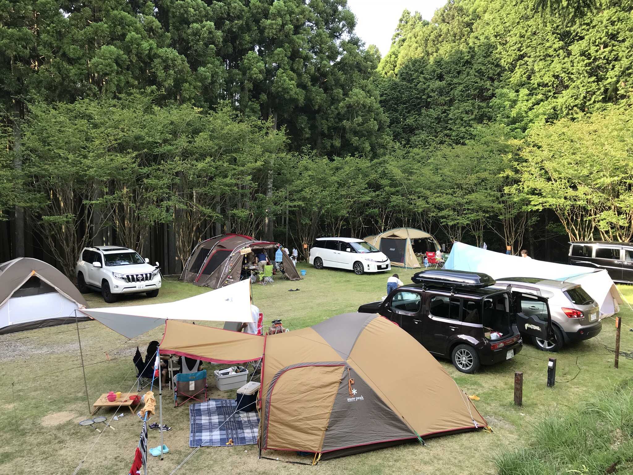 かぶとの森テラス CAMP &LOCAL FITNESS