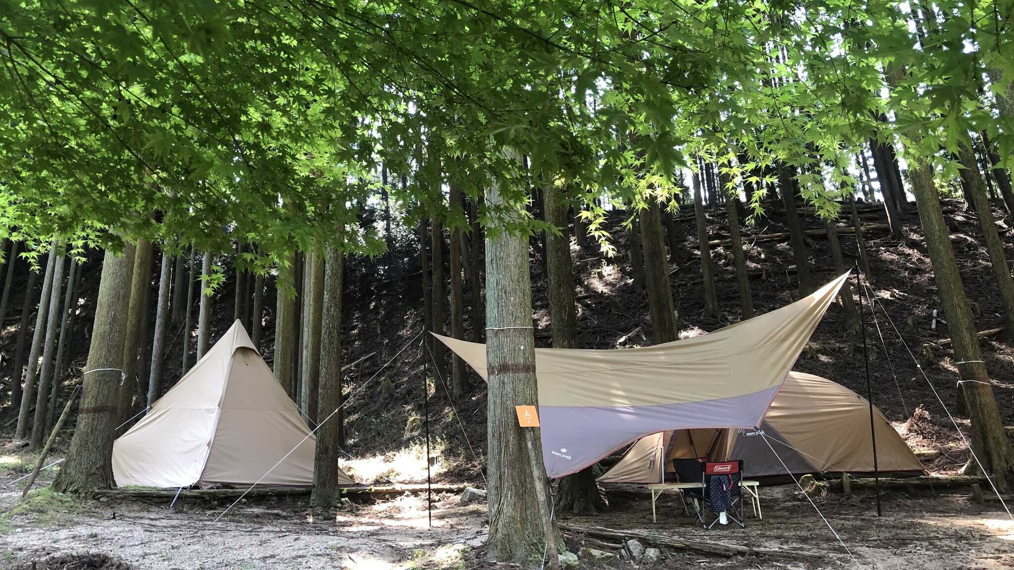 かぶとの森テラス CAMP &LOCAL FITNESSの写真 1枚目