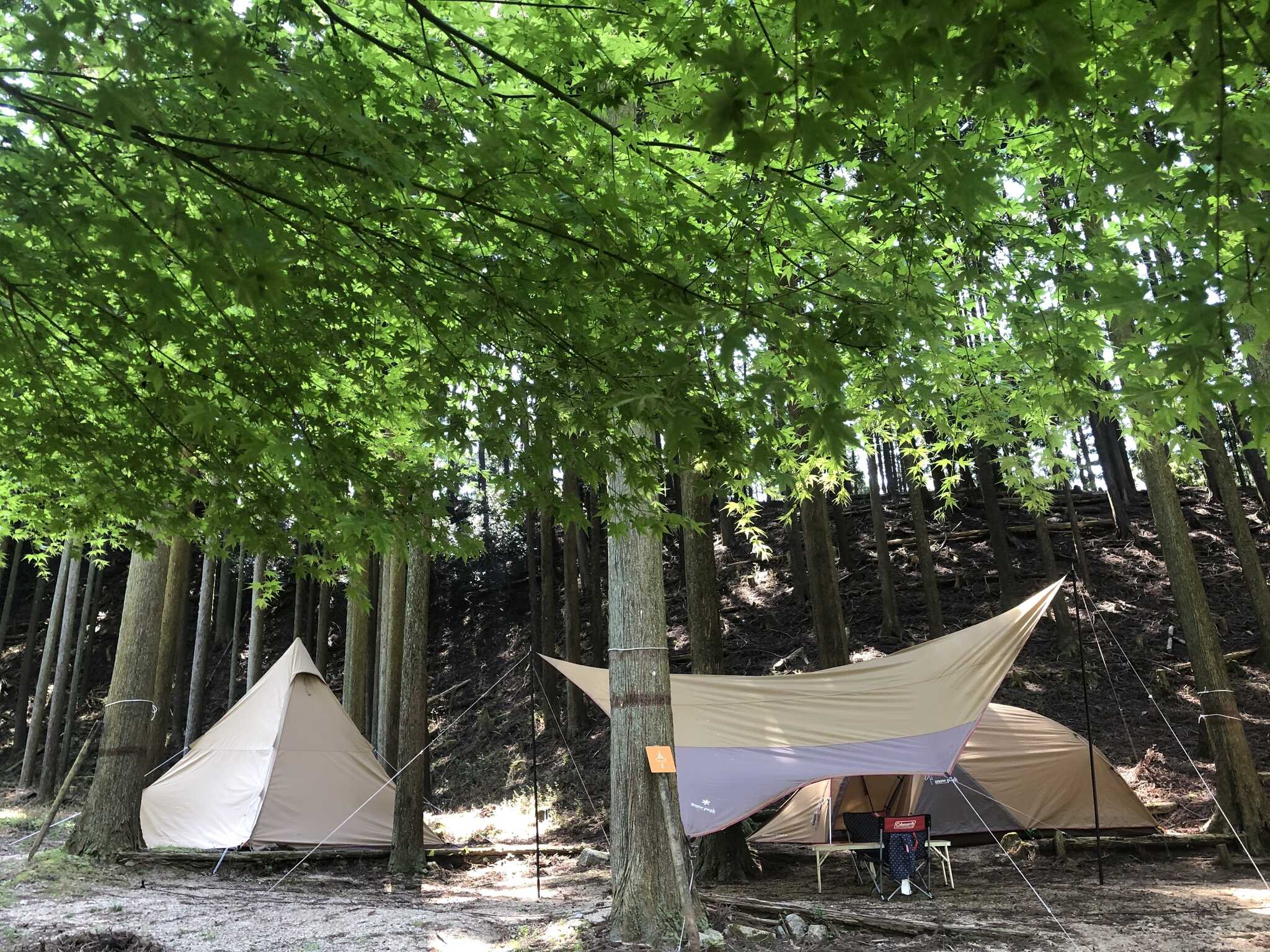 かぶとの森テラス CAMP &LOCAL FITNESS